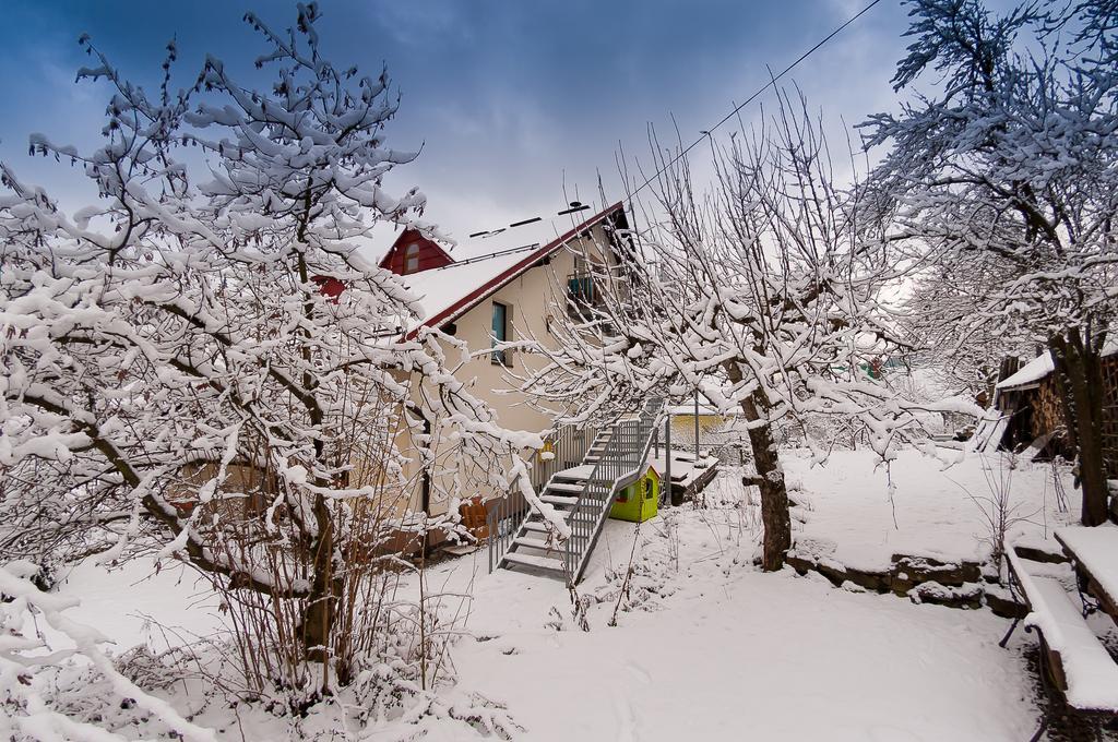 Apartamenty Krystyna 비스와 외부 사진